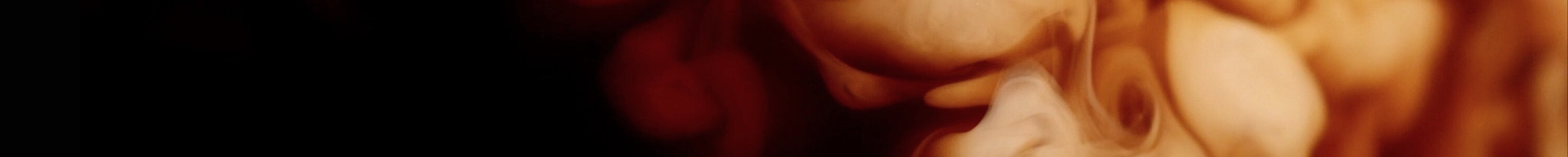 CAPPUCCINO E LATTE banner