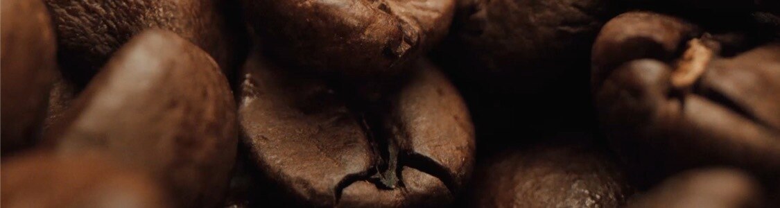 BUONDI | SICAL banner