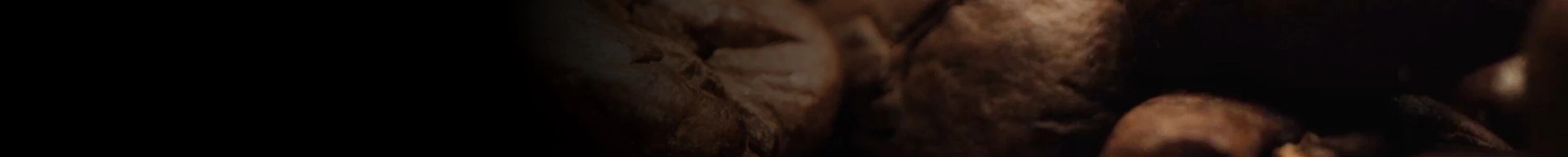 BUONDI | SICAL banner