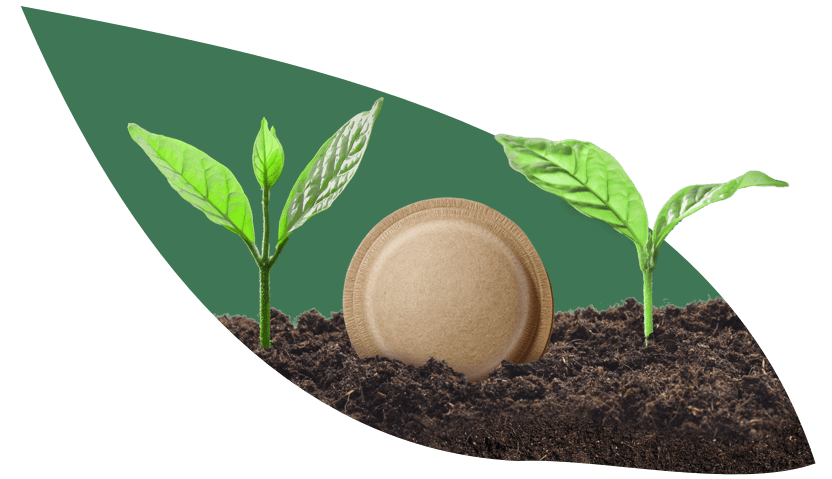 Home compostable coffee pods