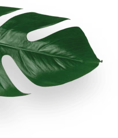 Dolce Gusto paper-based sachet