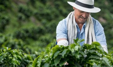 Agricultor de caf&eacute;