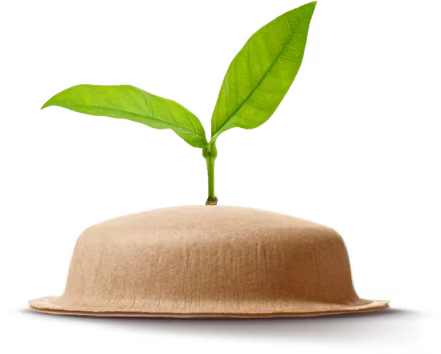 C&aacute;psulas sustent&aacute;veis Nescaf&eacute; Dolce Gusto