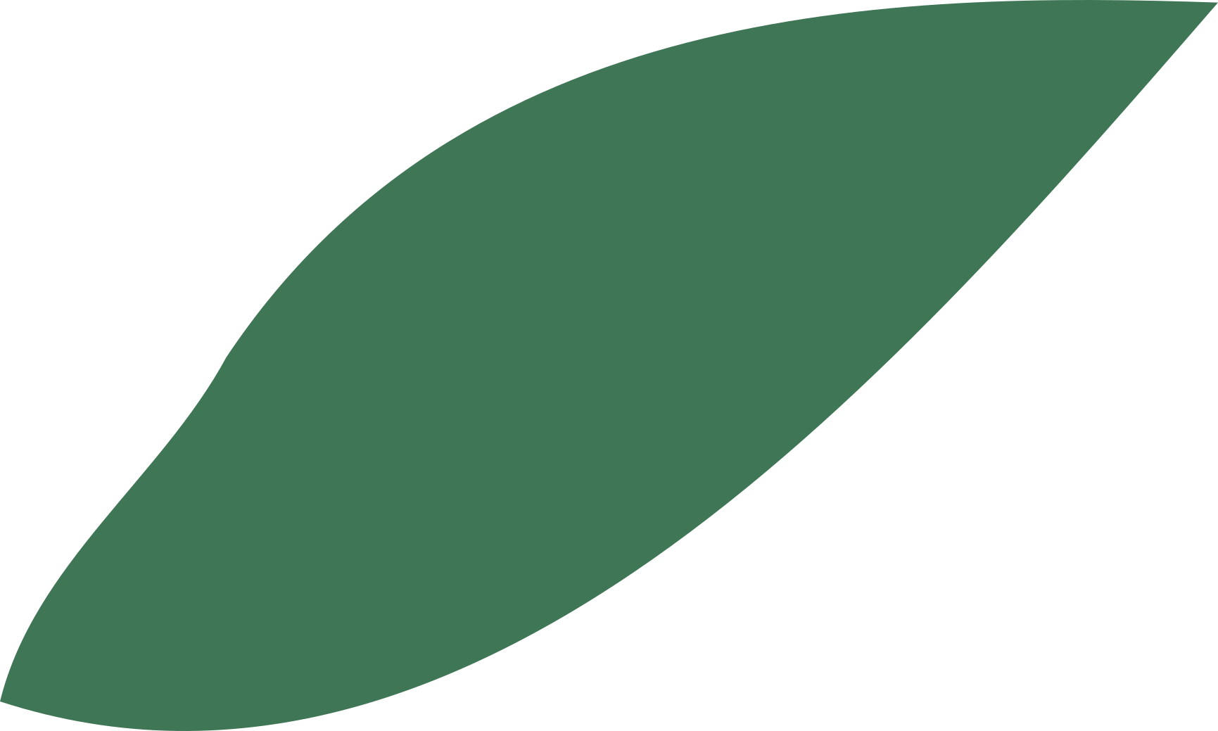 Folha verde estilizada sem fundo