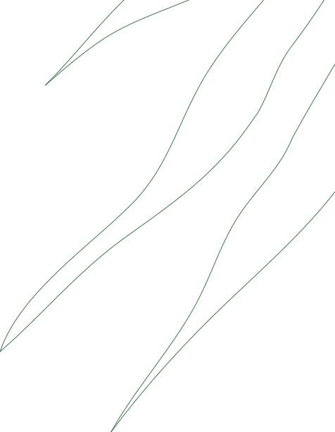 Leaf stroke decoration