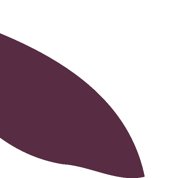 leaf_neo_up_gallery_orange