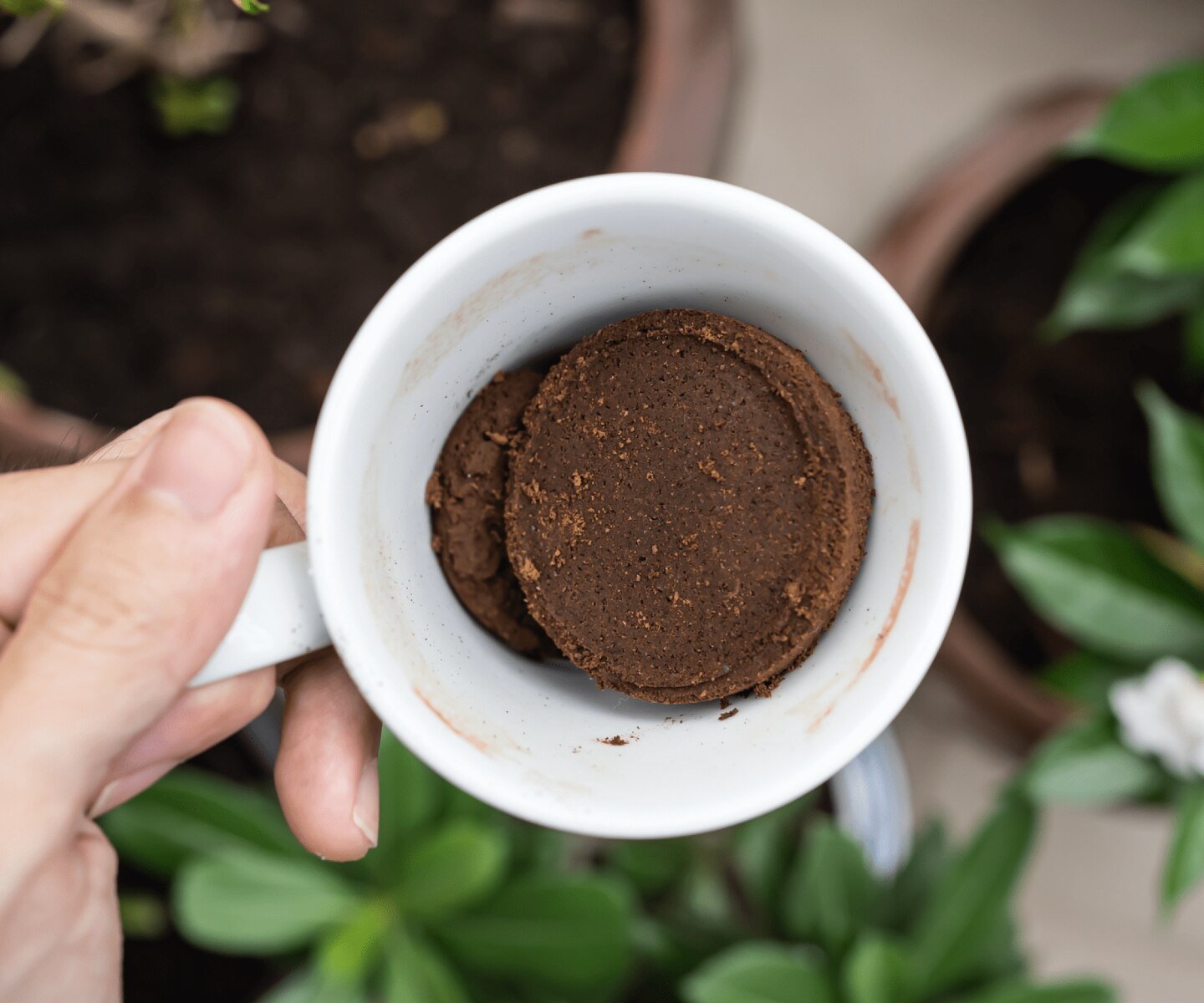 Copo de café com café utilizado e retirado de cápsulas
