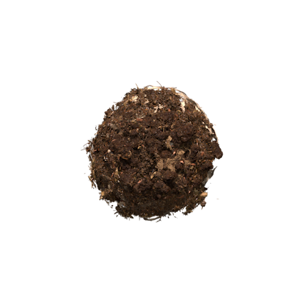 Decomposição de cápsula NEO Nescafé Dolce Gusto