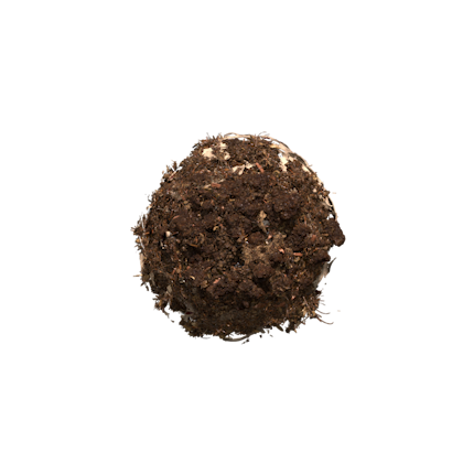 Decomposição de cápsula NEO Nescafé Dolce Gusto