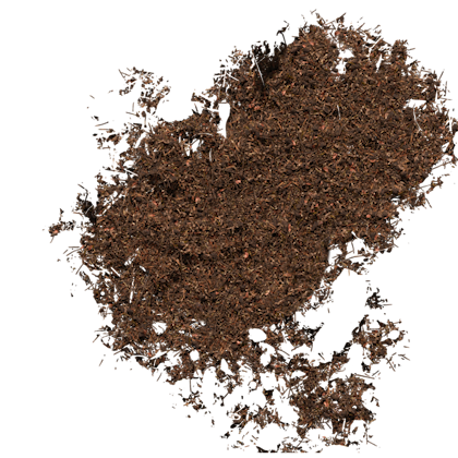 Cápsula de café NEO completamente decomposta