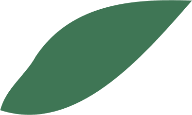 Folha verde, símbolo da natureza