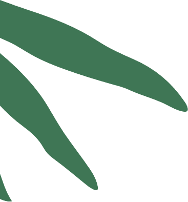 3 Folhas abstratas verdes