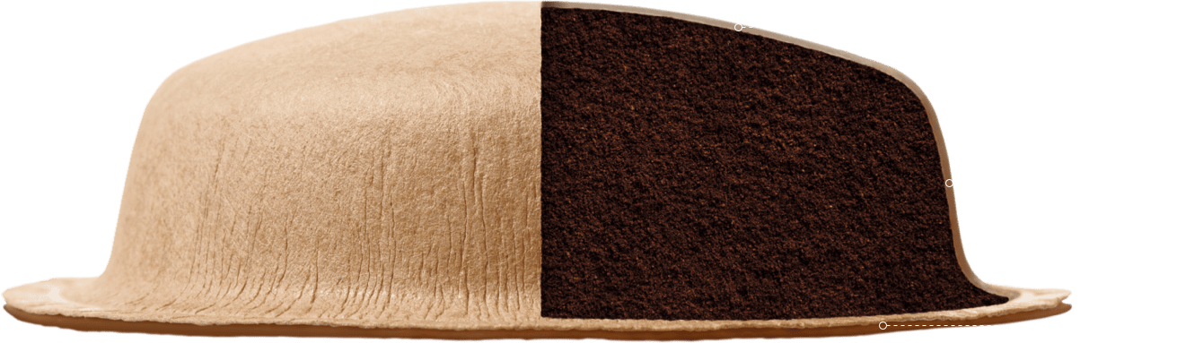 Representação do interior da cápsula NEO