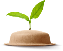 Planta a nascer no topo de cápsula de papel NEO