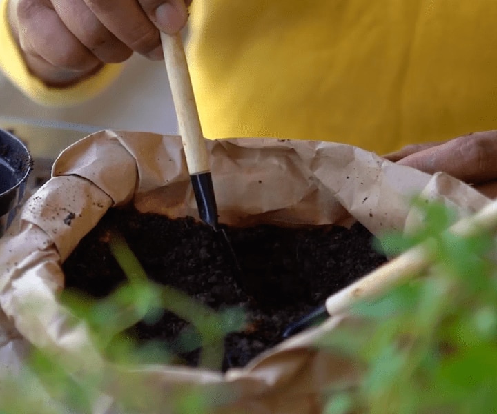 Compostagem Cápsulas NEO