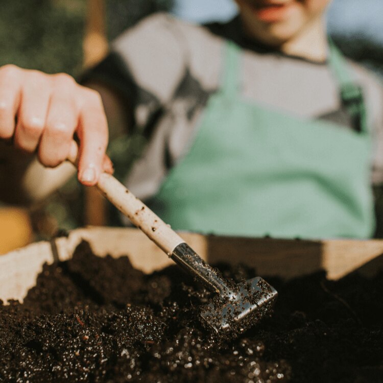 Criança a fazer compostagem com cápsulas de café de papel