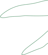 Linhas que representam uma folha